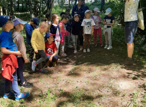 Kraina Dzikiej Kaczki