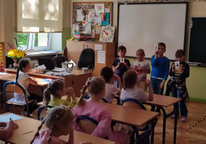 Zdjęcie 3 na 13