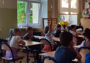 Zdjęcie 5 na 13