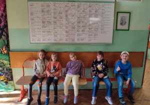 Zdjęcie 13 na 13