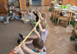 Zdjęcie 1 na 5