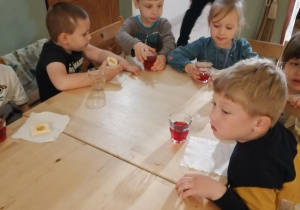 Zdjęcie 3 na 6