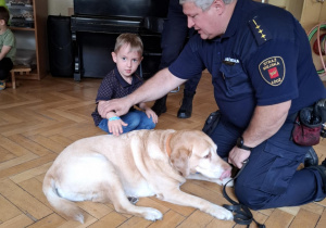 Zdjęcie 4 na 24