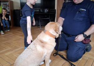 Zdjęcie 13 na 24