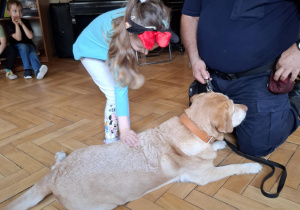 Zdjęcie 17 na 24