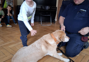 Zdjęcie 18 na 24