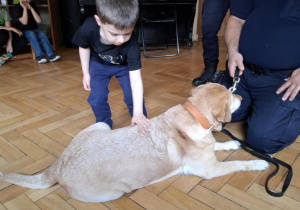 Zdjęcie 20 na 24
