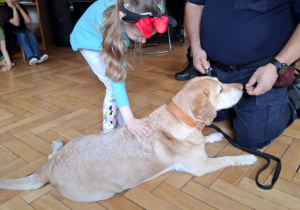 Zdjęcie 21 na 24