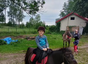 Wycieczka do Stada Ogierów