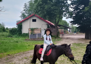 Zdjęcie 7 na 10