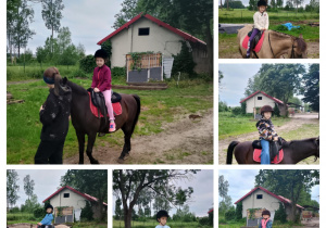 Zdjęcie 8 na 10