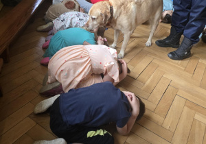 Zdjęcie 3 na 8