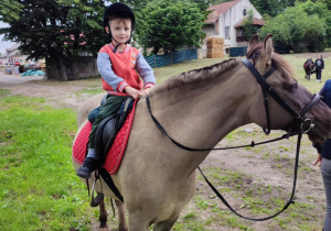 Zdjęcie 7 na 21