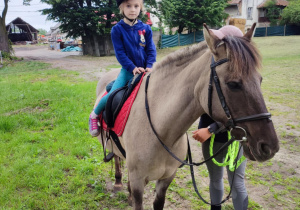 Zdjęcie 14 na 21