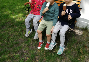 Zdjęcie 7 na 7