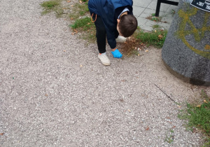 Zdjęcie 3 na 18