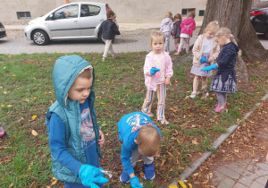 Zdjęcie 12 na 18
