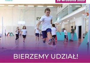 Zdjęcie 8 na 12