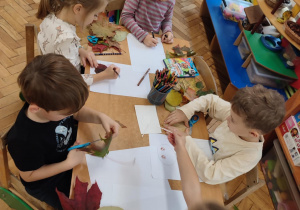 Zdjęcie 8 na 15