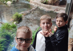 Zdjęcie 3 na 14