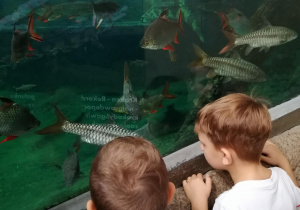 Zdjęcie 3 na 8