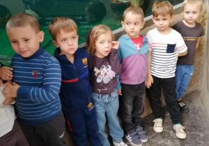 Zdjęcie 4 na 8