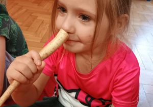 Dziewczynka wącha pietruszkę