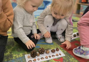 Dziewczynki układają szyszki