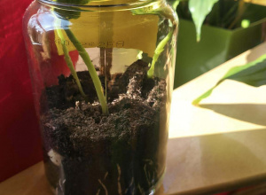 Wiosna idzie przez świat