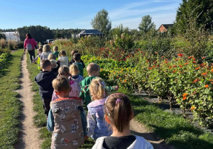 Farma Bergamotka
