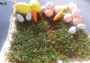 Zdjęcie przedstawia rzeżuchę udekorowaną kolorowymi jajkami.