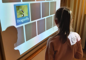 Dzoewczynka gra w memory na tablicy interaktywnej.