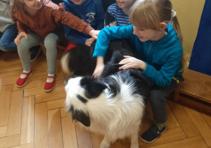Dzieci głaskają psa.
