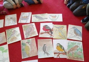 Dzieci oglądają obrazki z ptakami.