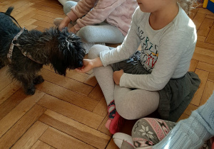 Zdjęcie przedstawia dziewczynkę częstującą smakołykiem psa.