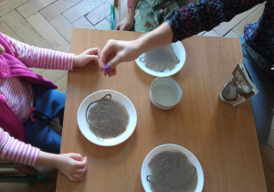 Dzieci biorą udział w doświadczeniu z pieprzem i mydłem.