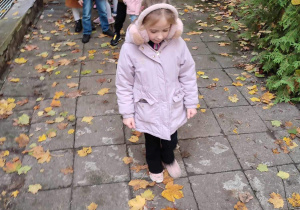 Dziewczynka idzie torem ułożonym z jesiennych liści.